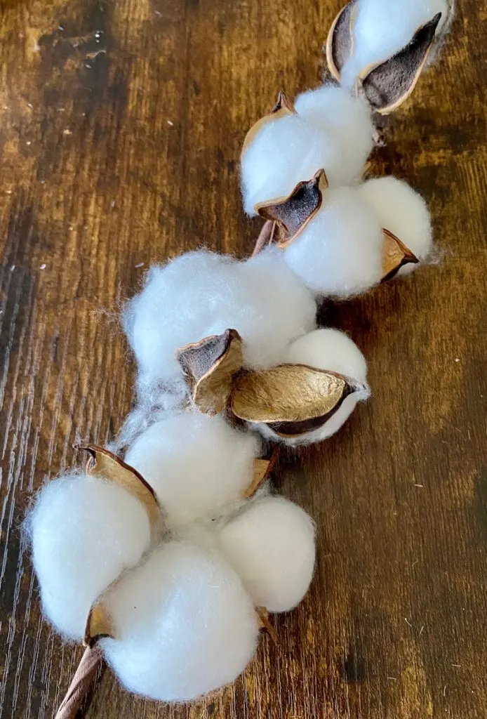 dollar tree cotton stems