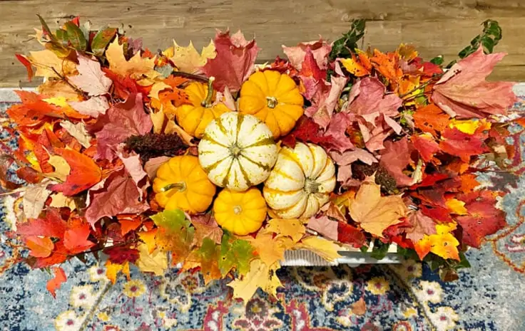 Foraged fall decor in dough bowl