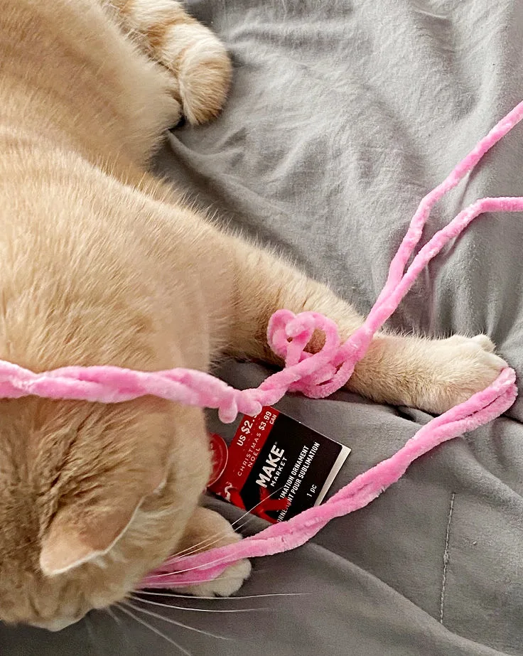 nala cat with yarn