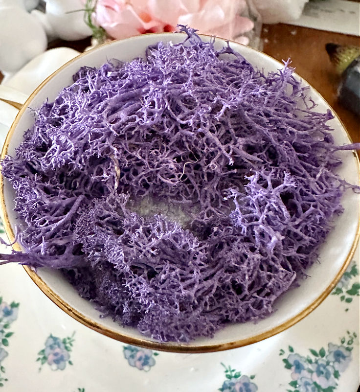 purple moss on top of teacup