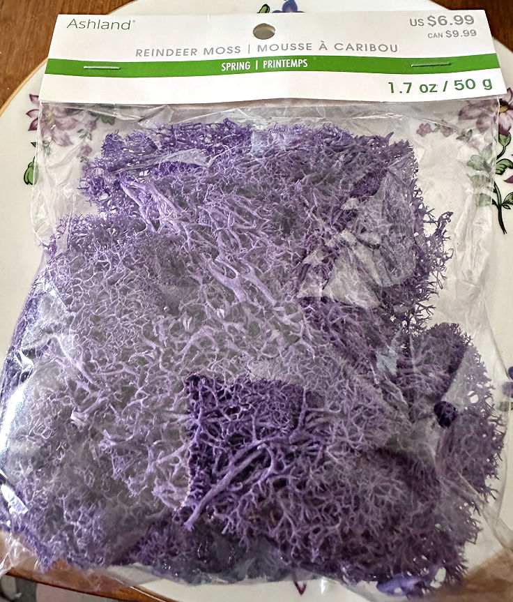 purple reindeer moss