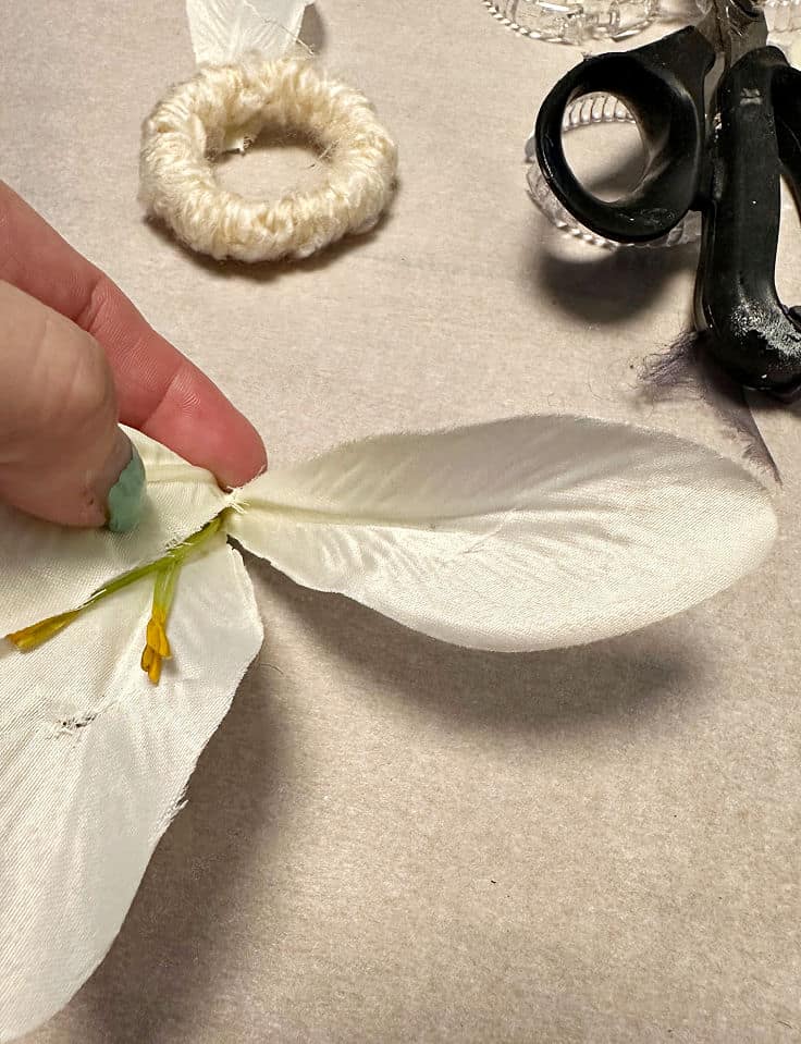 taking apart lily