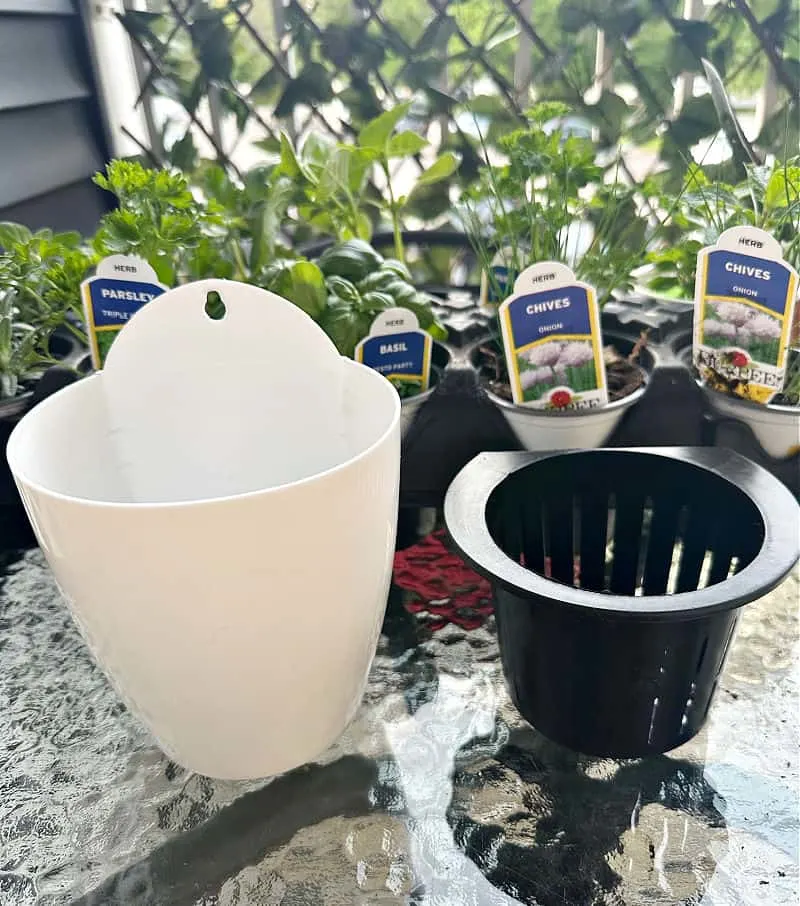 self watering planters for herbs