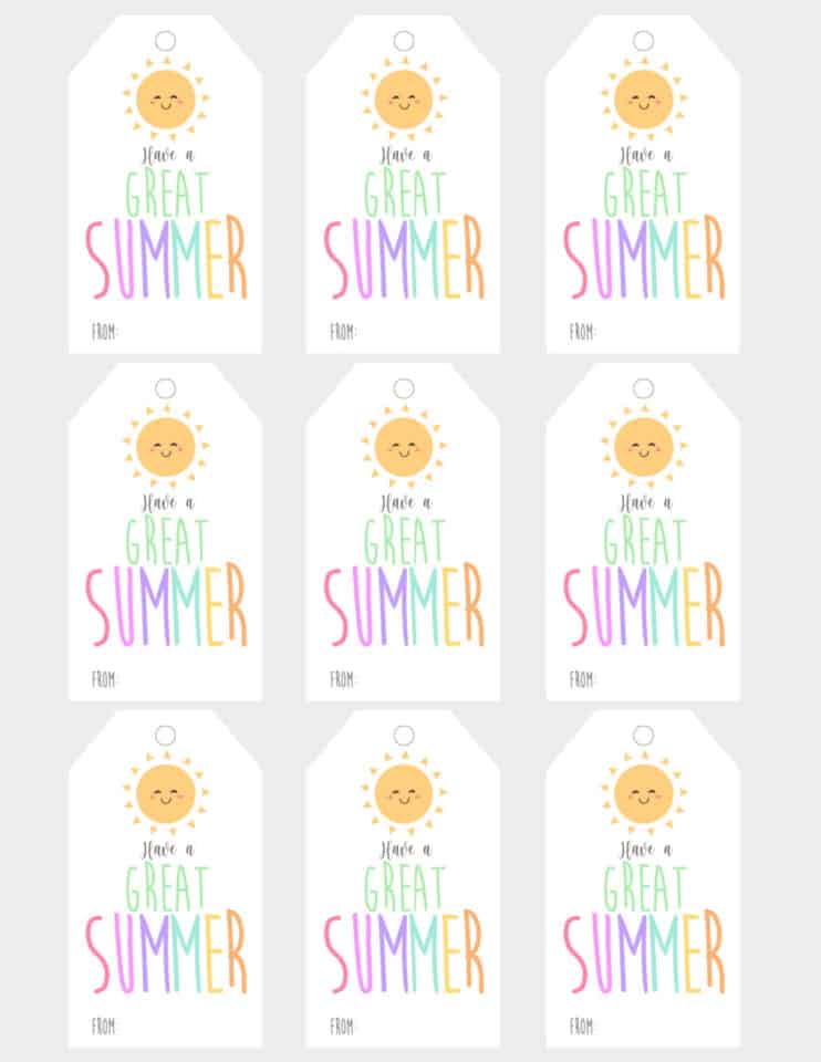 Adorable Have a Great Summer Free Printable Tags