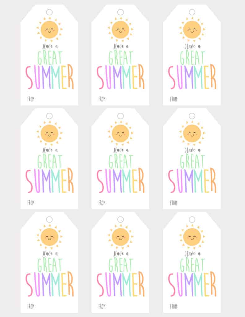 Adorable Have a Great Summer Free Printable Tags