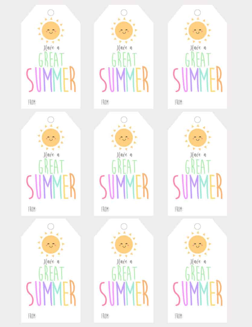 Adorable Have a Great Summer Free Printable Tags