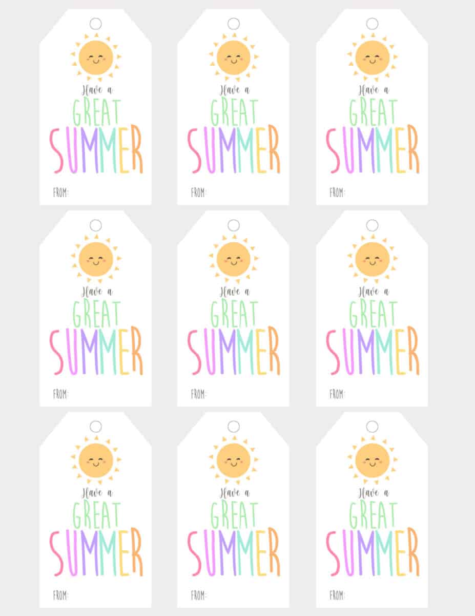 Adorable Have a Great Summer Free Printable Tags