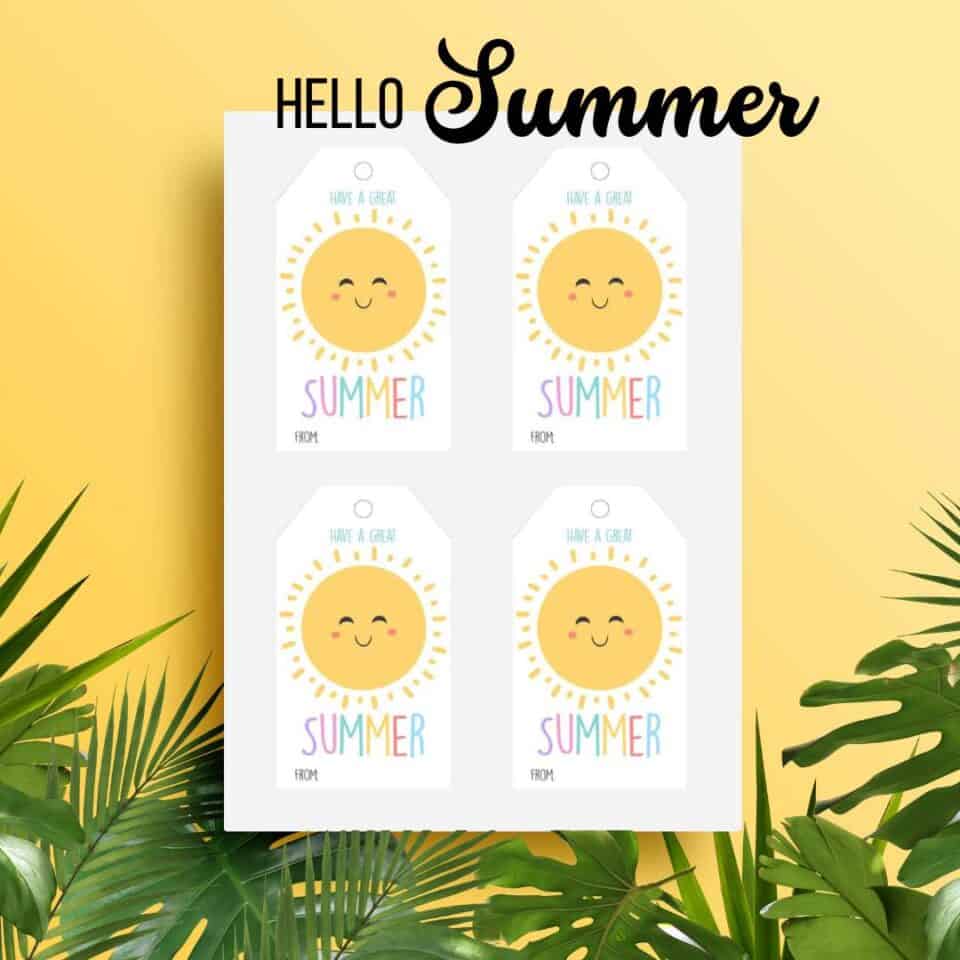 Adorable Have a Great Summer Free Printable Tags