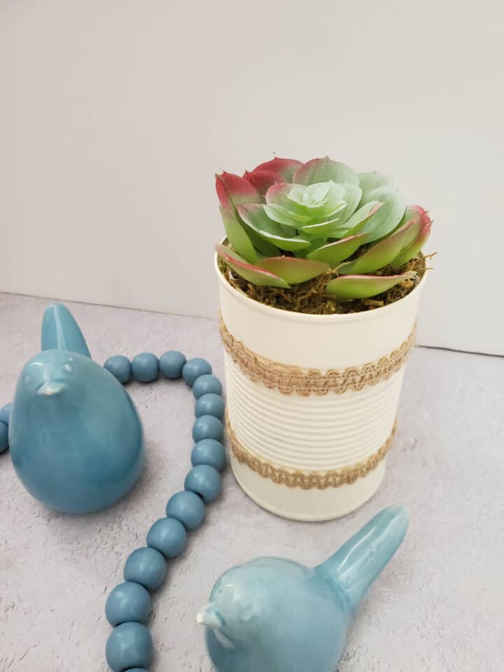 Dollar Tree Succulent Tin Can Planter Ideas For Just A Few Dollars!