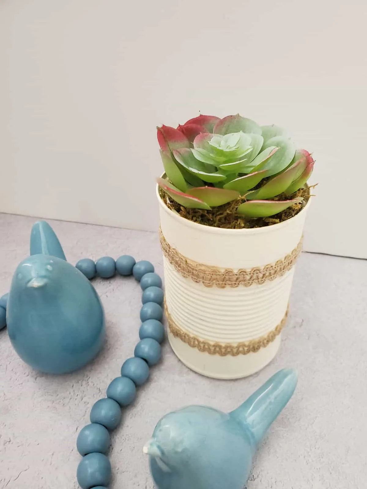 upcycled tin can succulent planter