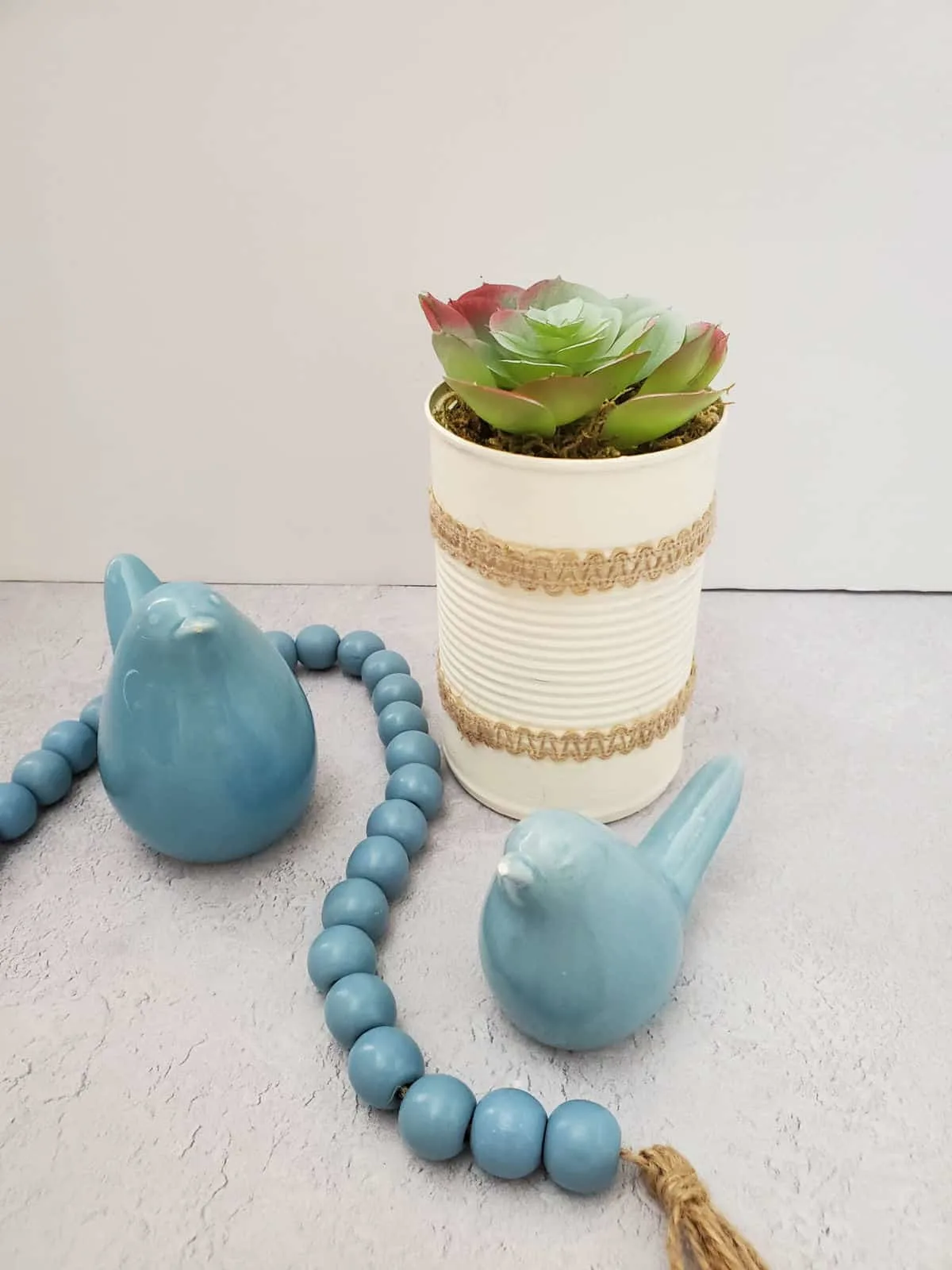 tin can upcycled succulent planter
