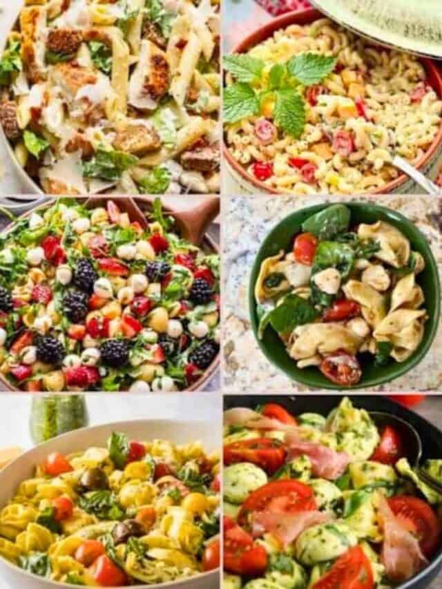 50 Best Labor Day Pasta Salads Recipes Our Crafty Mom