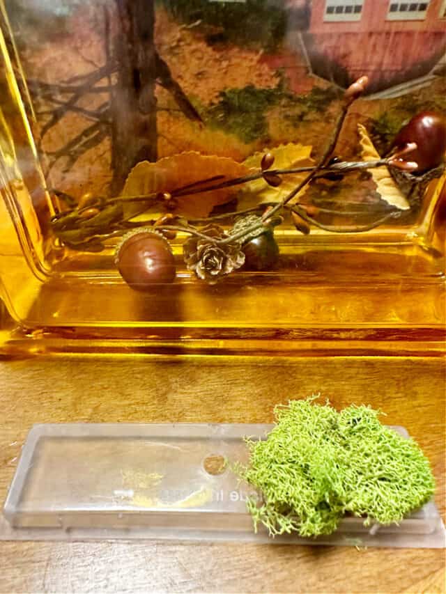 Gorgeous Glass Block Crafting with Free Fall Truck Printable