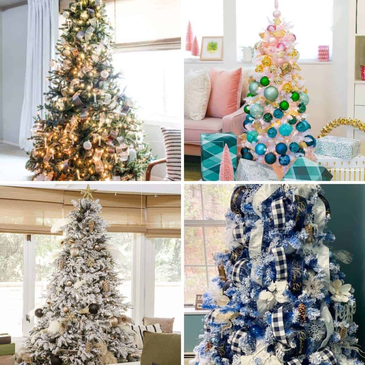 collage of 4 Christmas trees