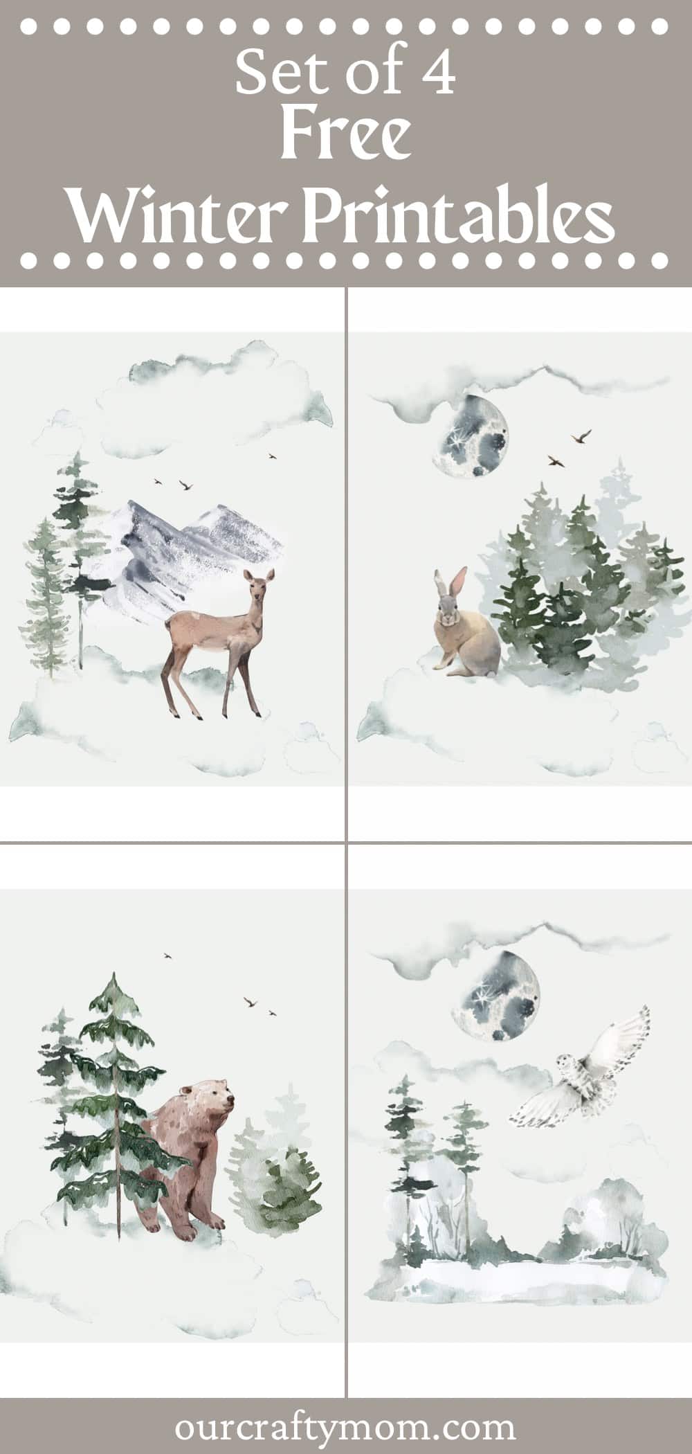 pin collage winter animal printables