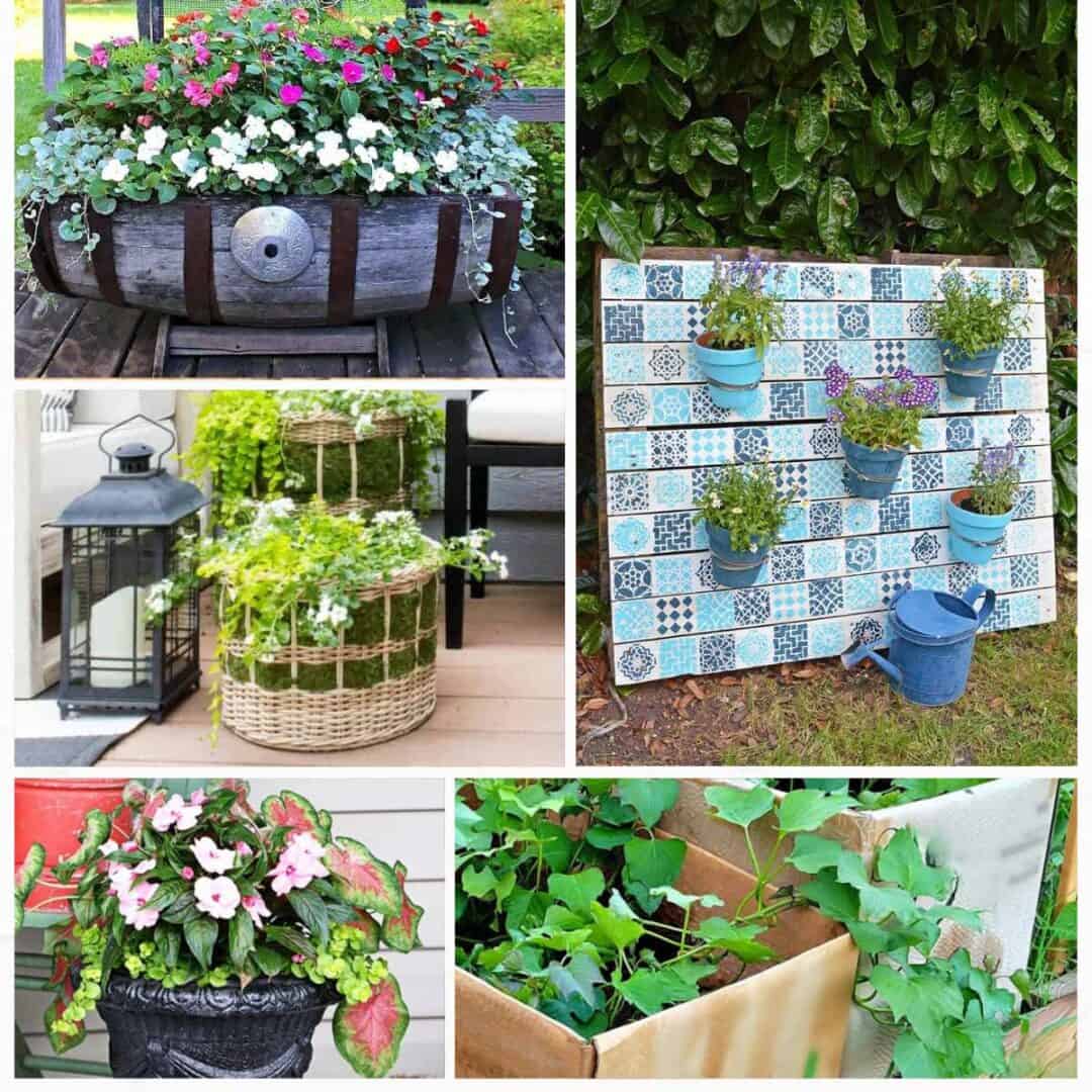 39+ Easy and Cheap Container Gardening Ideas (2024)