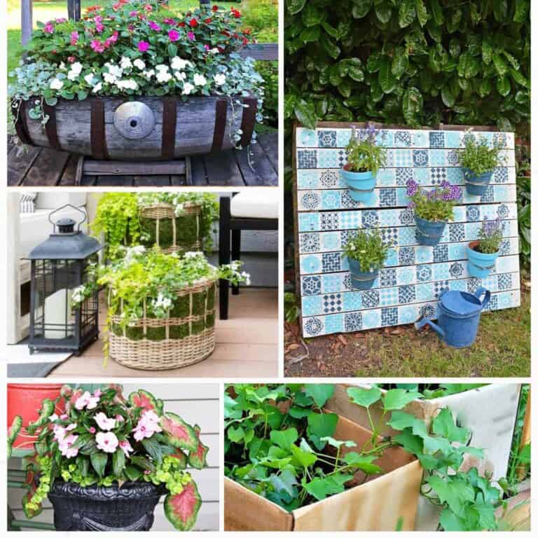 collage with diy container gardens no text.
