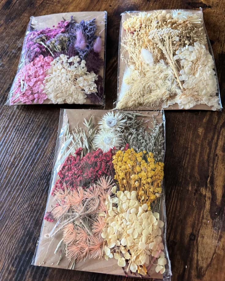 package of 3 pressed dried flowers.