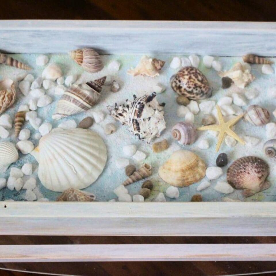 Transform Beach Treasures into a Stunning DIY Seashell Table