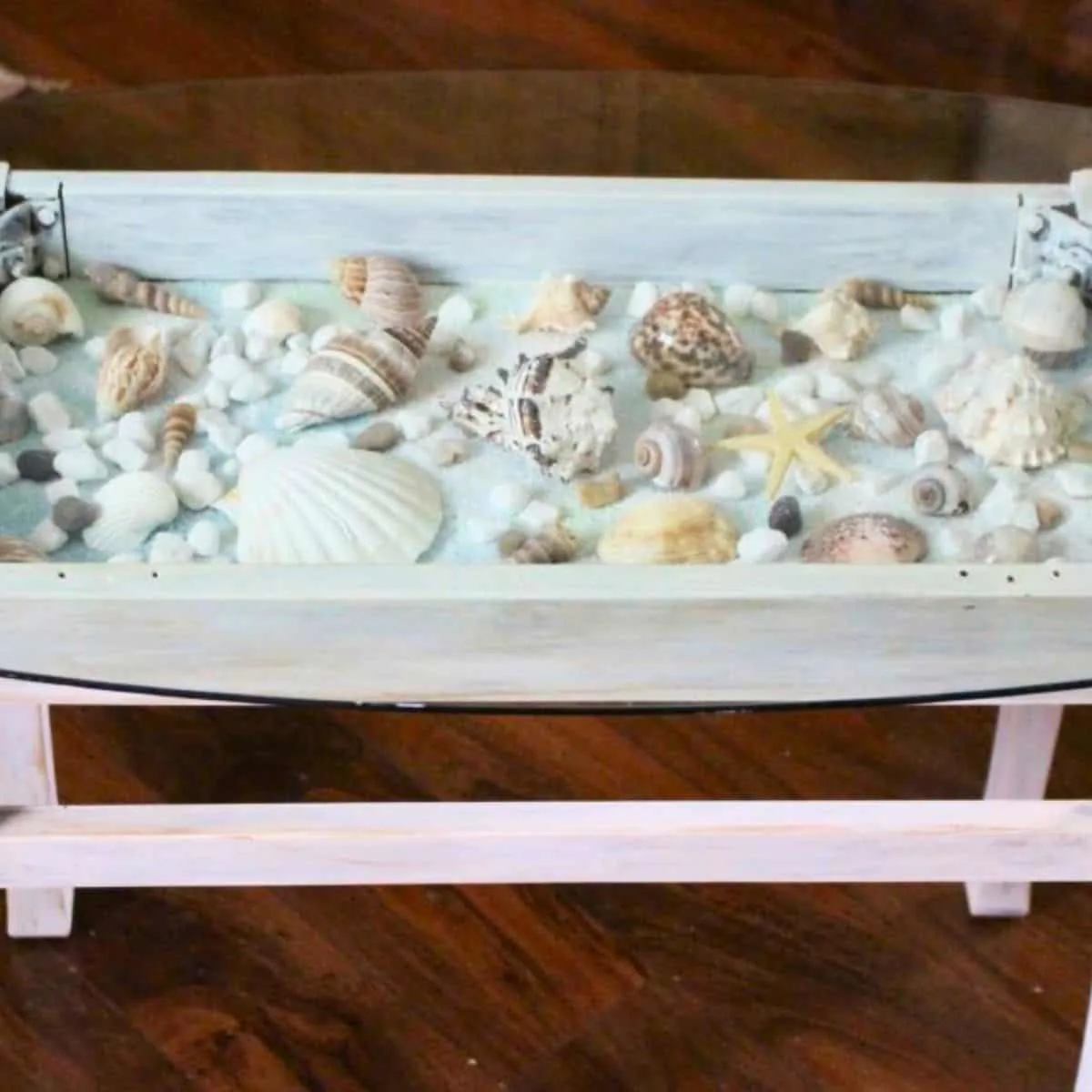 seashell shadow box table diy