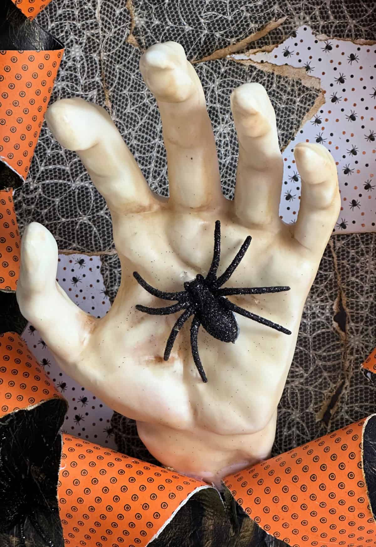 spider on hand