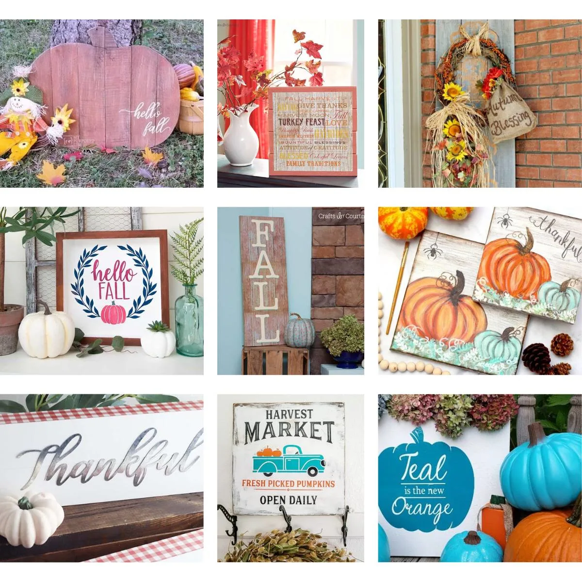 collage with 9 images fall signs