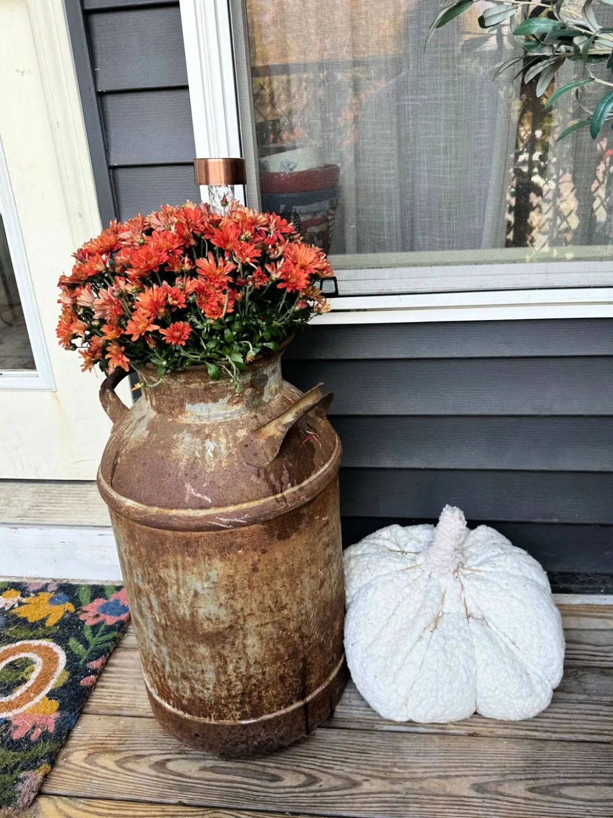 rusty antique milk jug with mums