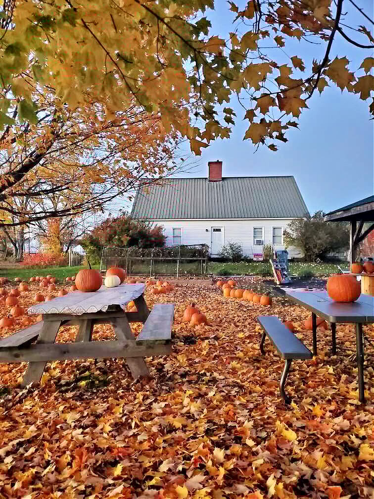 fall foliage new hampshire