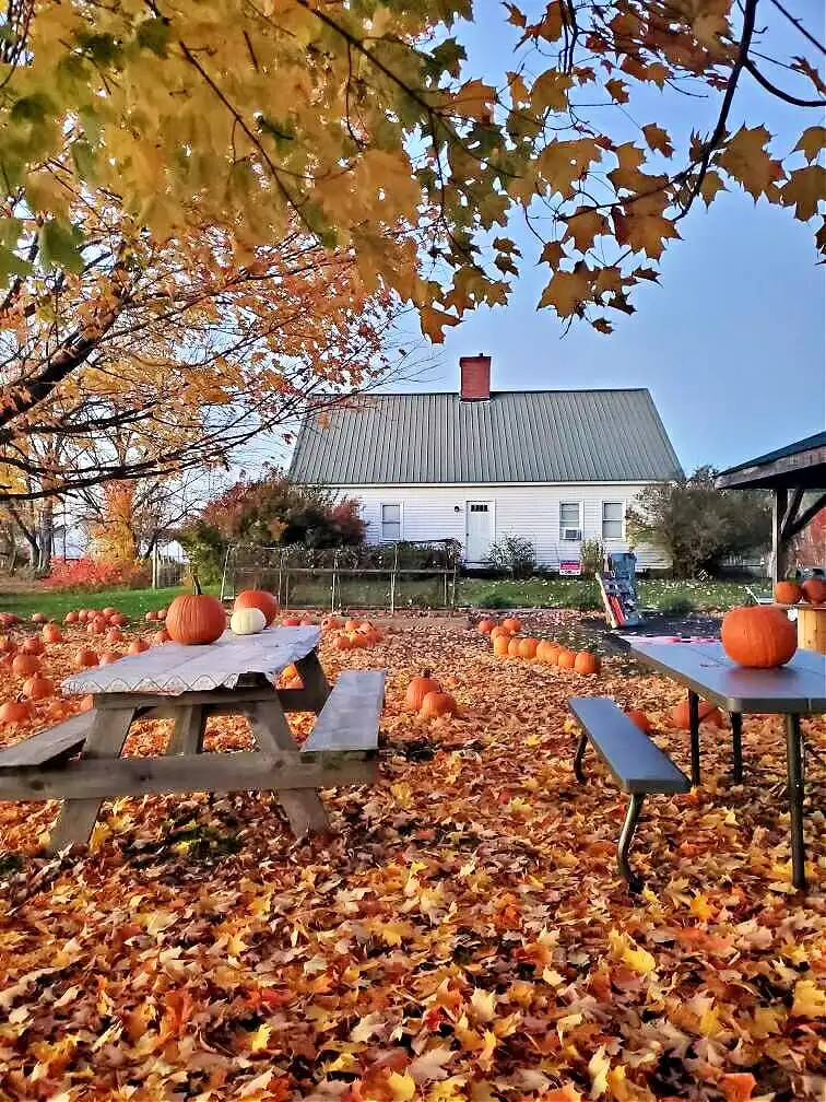 fall foliage new hampshire