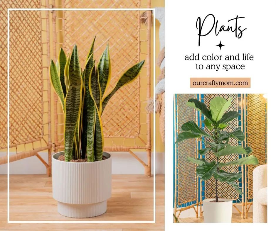 collage with floor plants