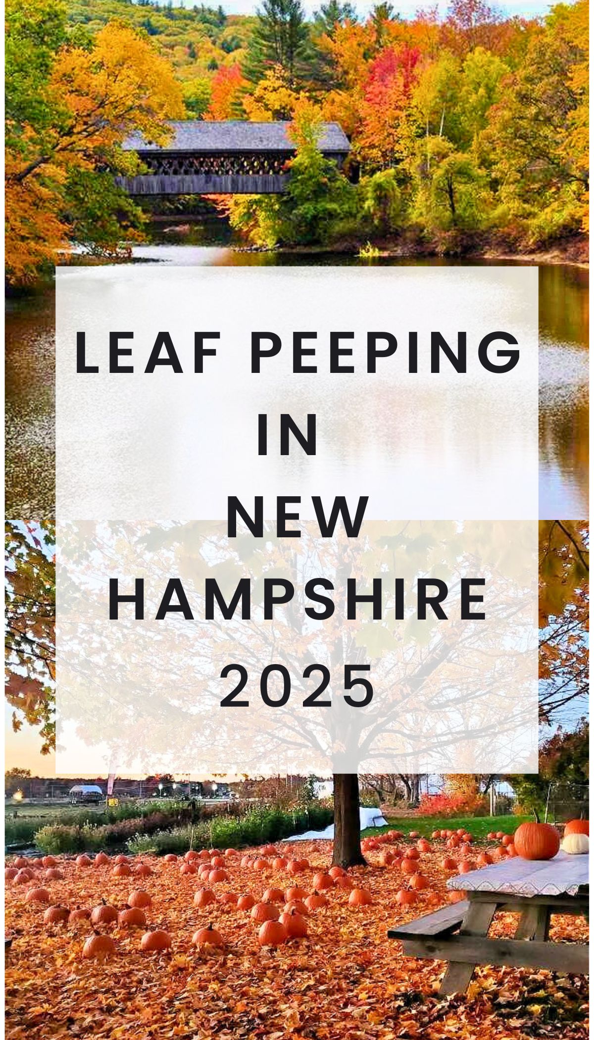 leaf peeping in New Hampshire