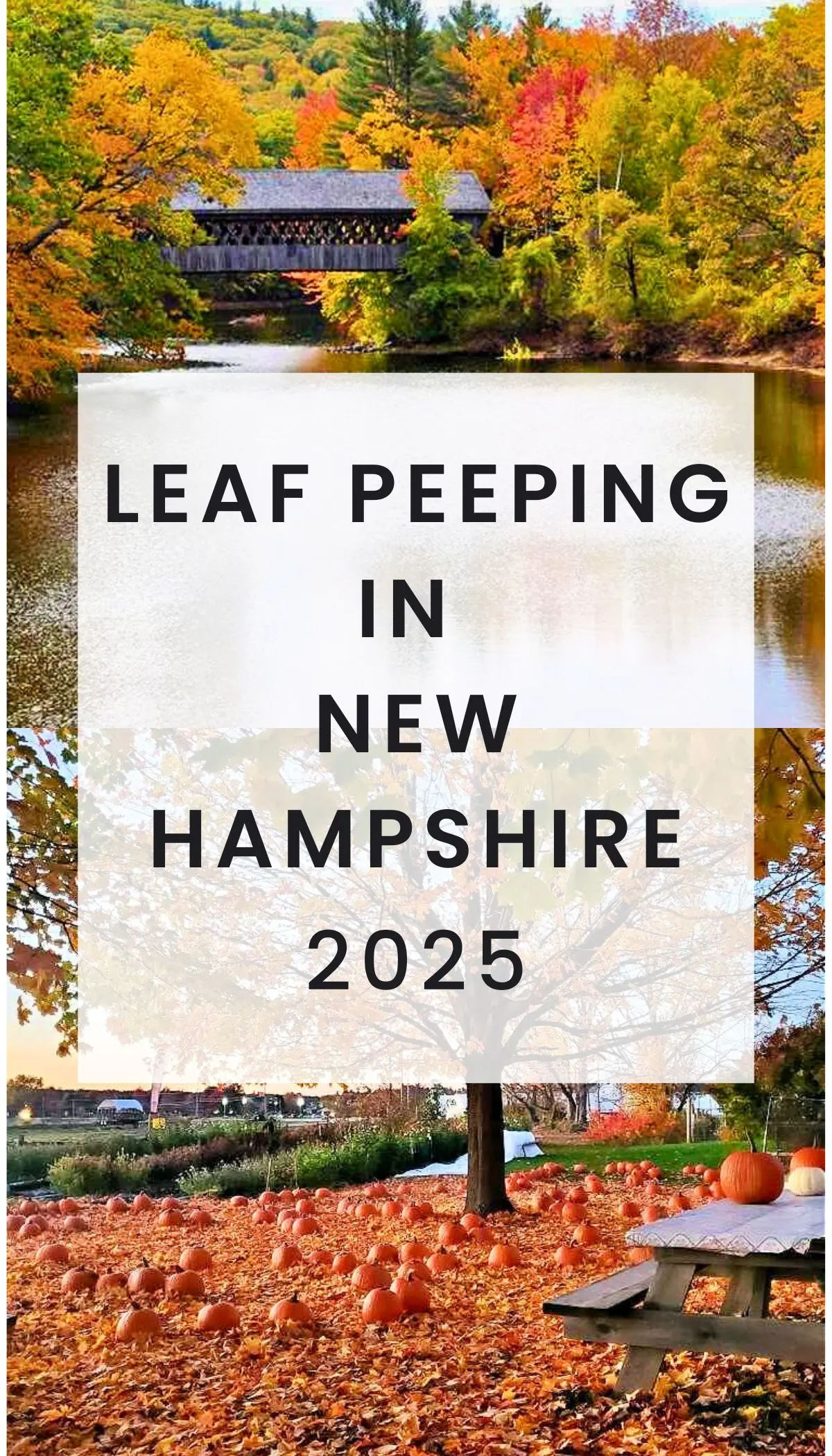 leaf peeping in New Hampshire