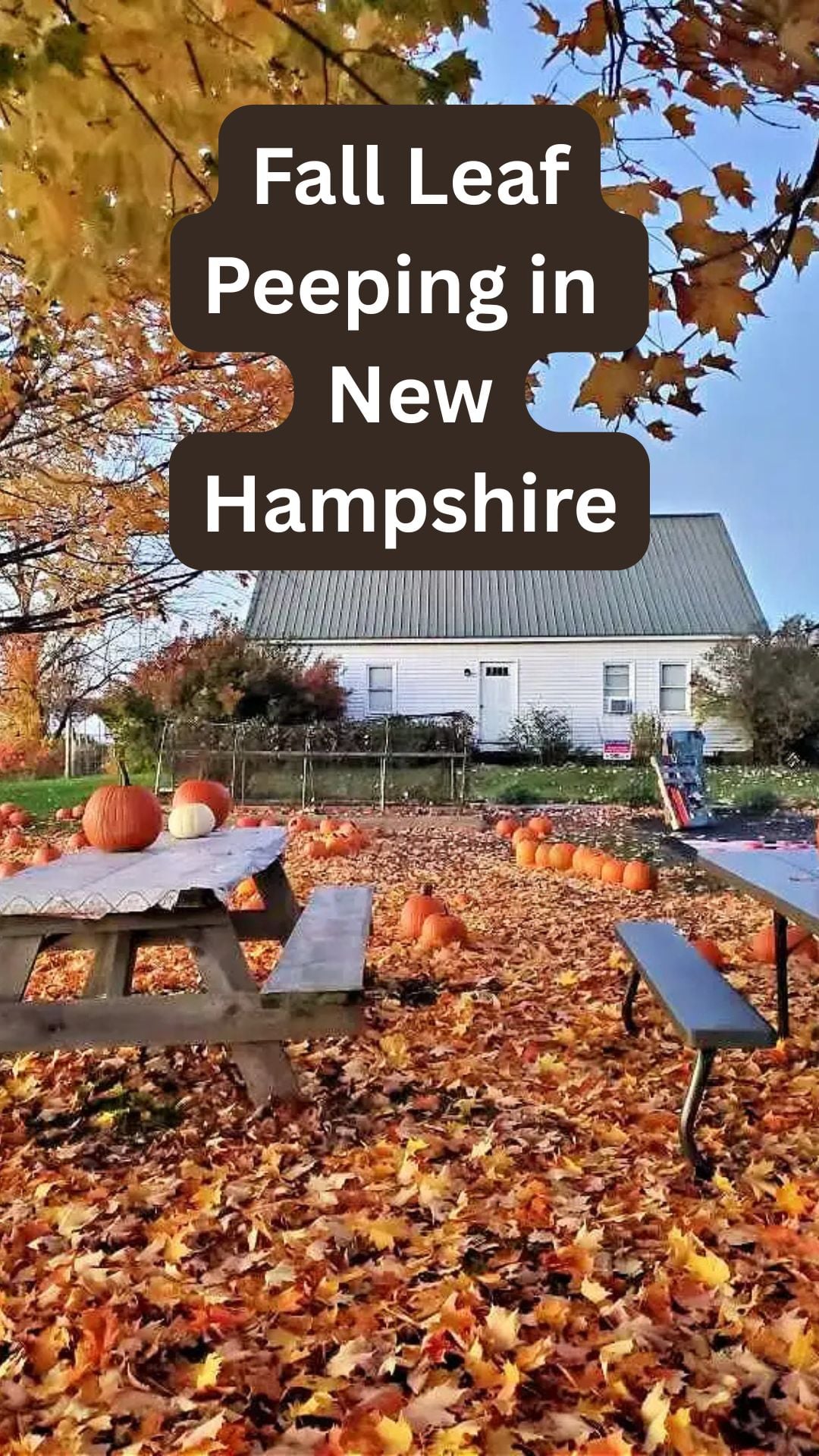 fall leaf peeping scenic drives