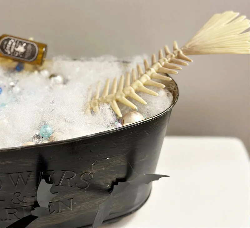 close up of skeleton tail