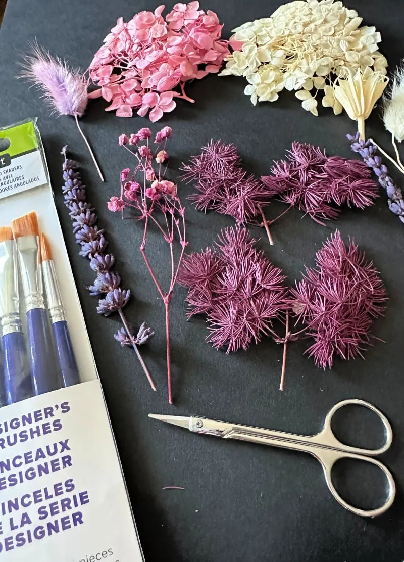 close up of pressed flowers