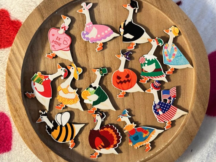 interchangeable goose sign magnets