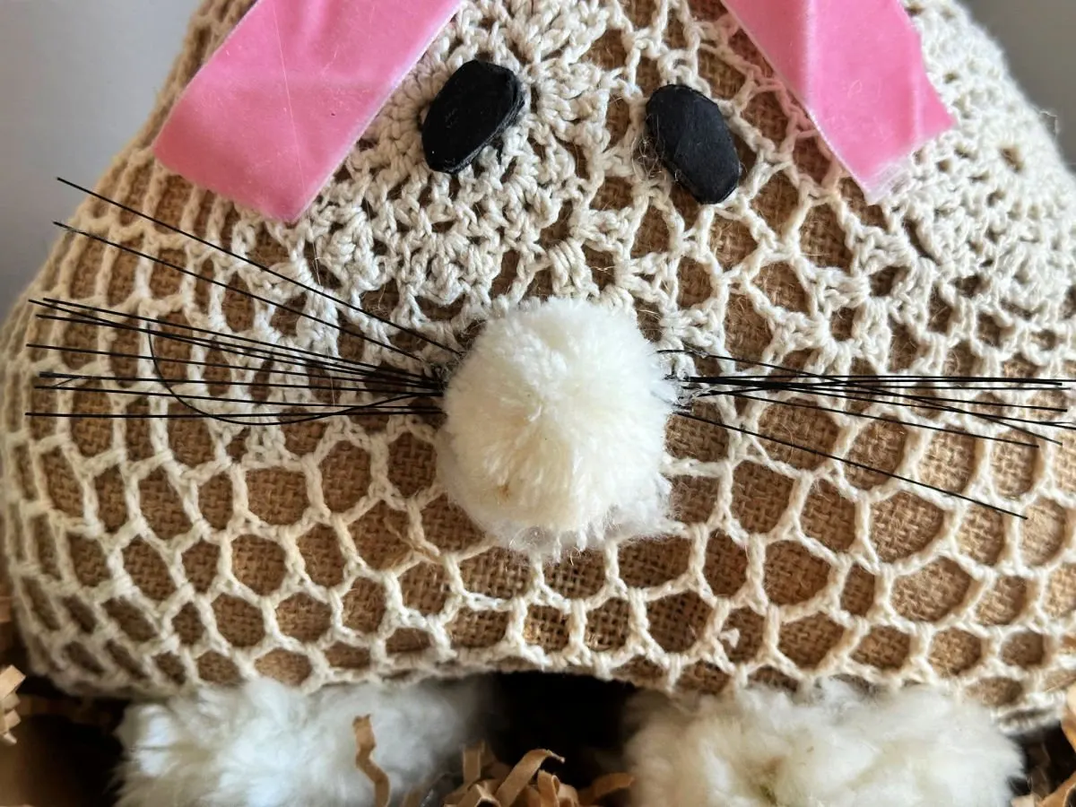 close up of bunny eyes from foam board