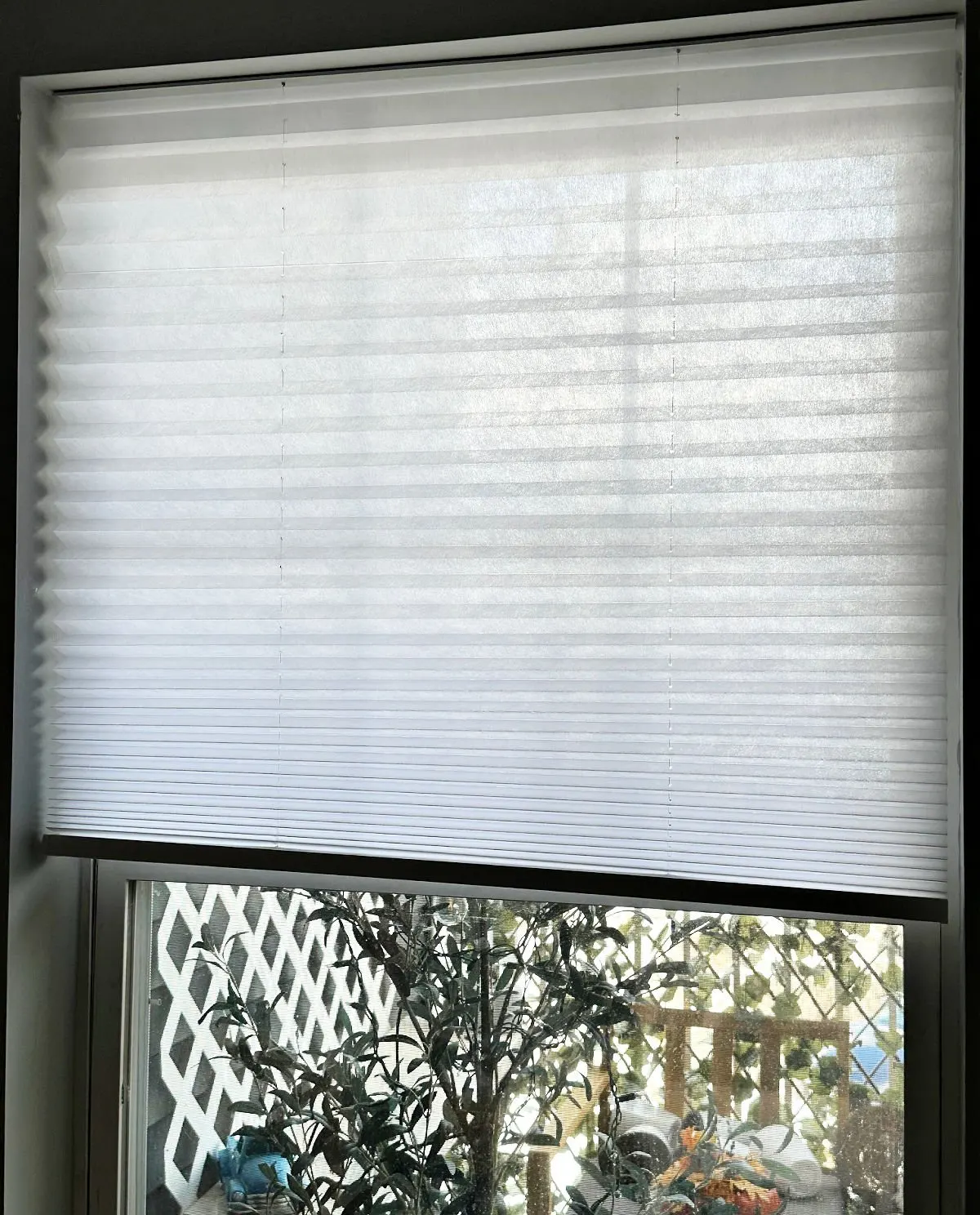 hanging red-shade in living room window