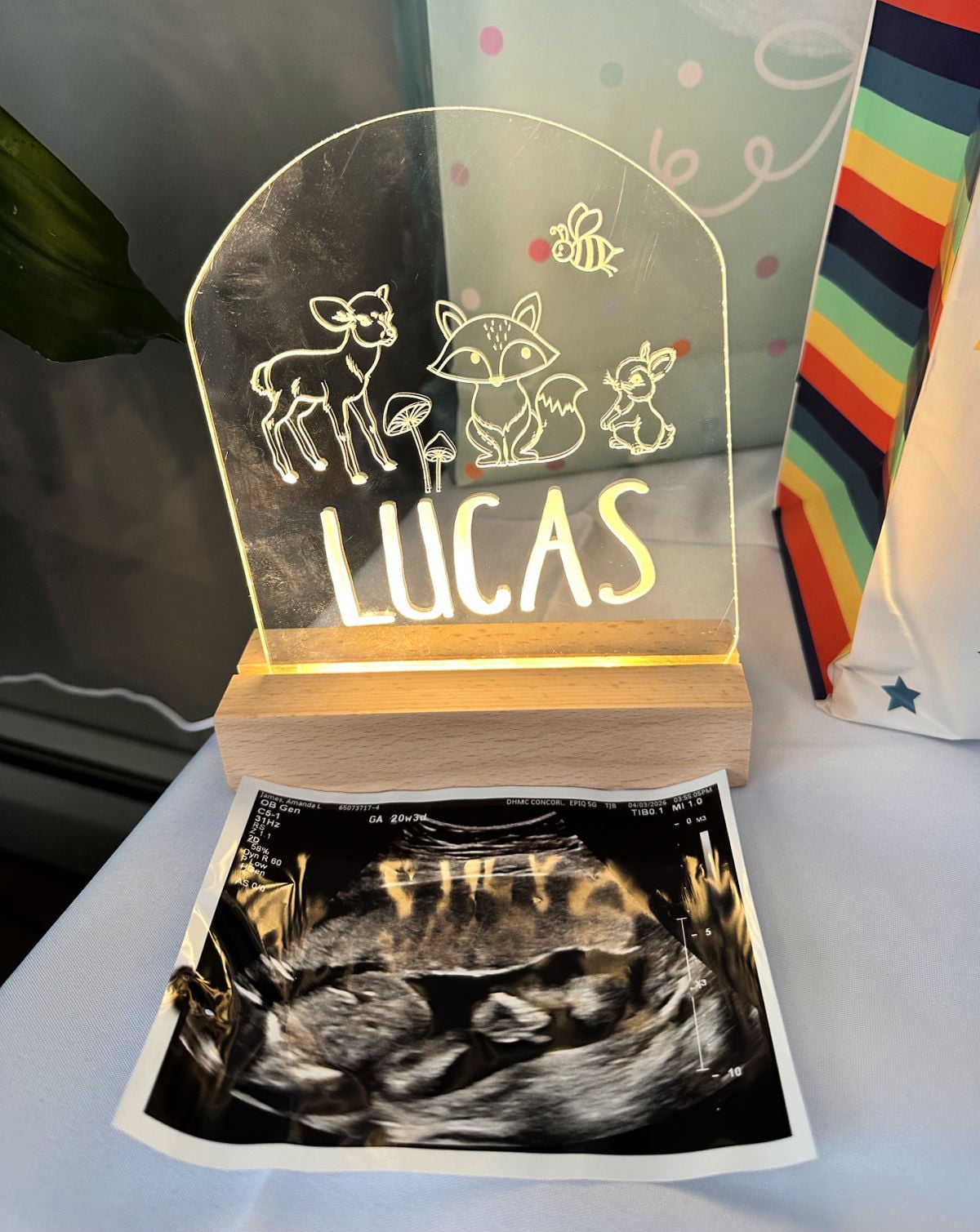 handmade acrylic sign