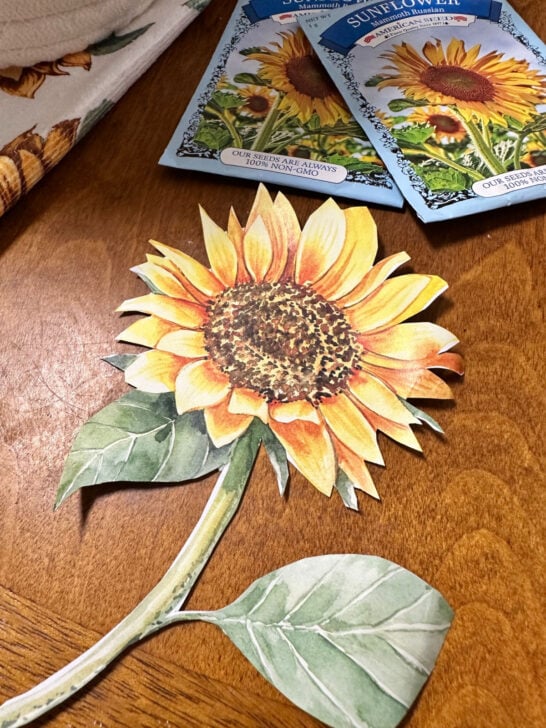 fancy cut sunflower image
