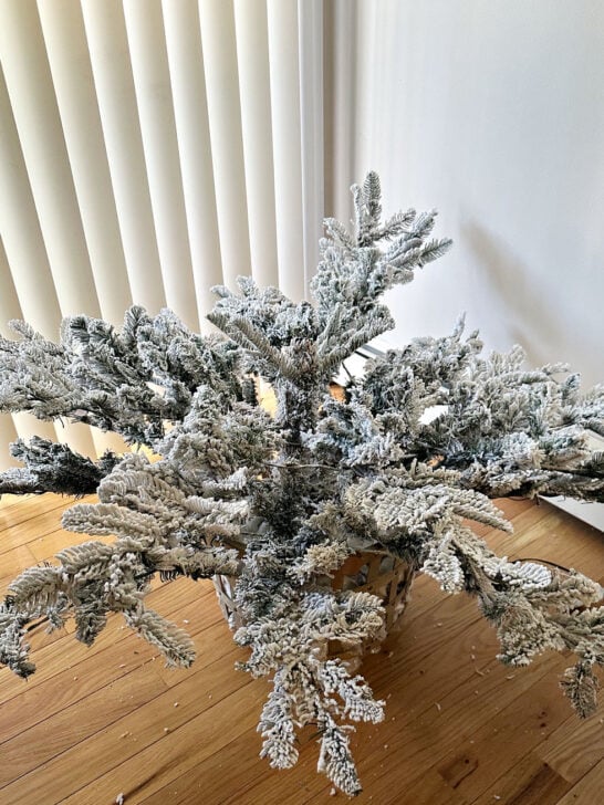 bottom tree portion