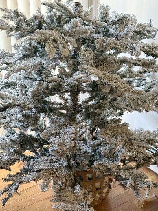 middle tree portion