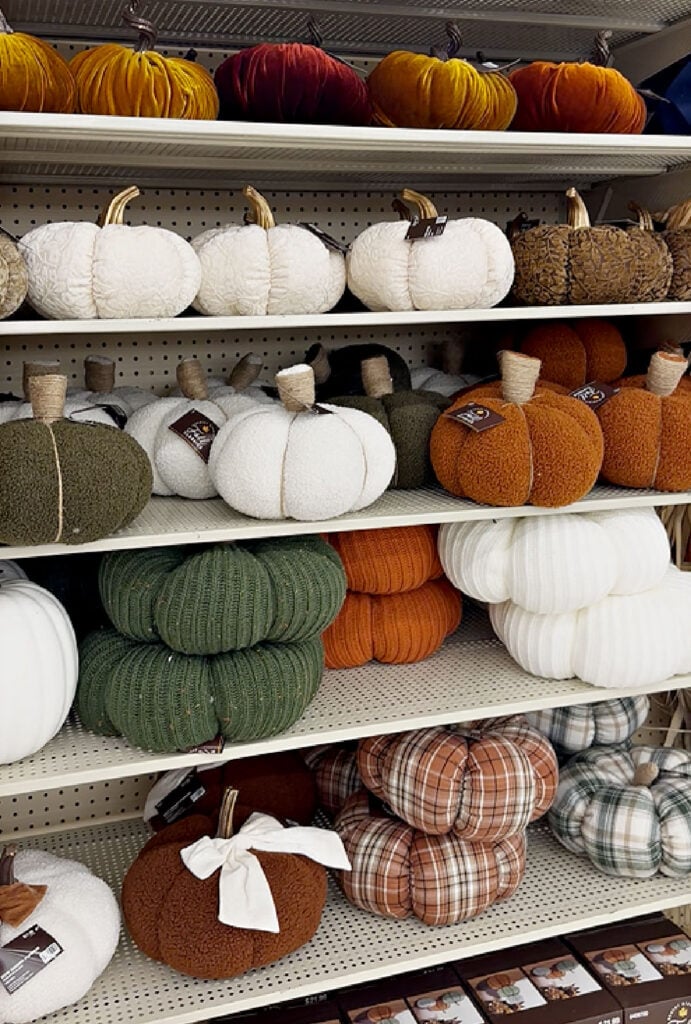 4 shelves of pumpkins at hobby lobby