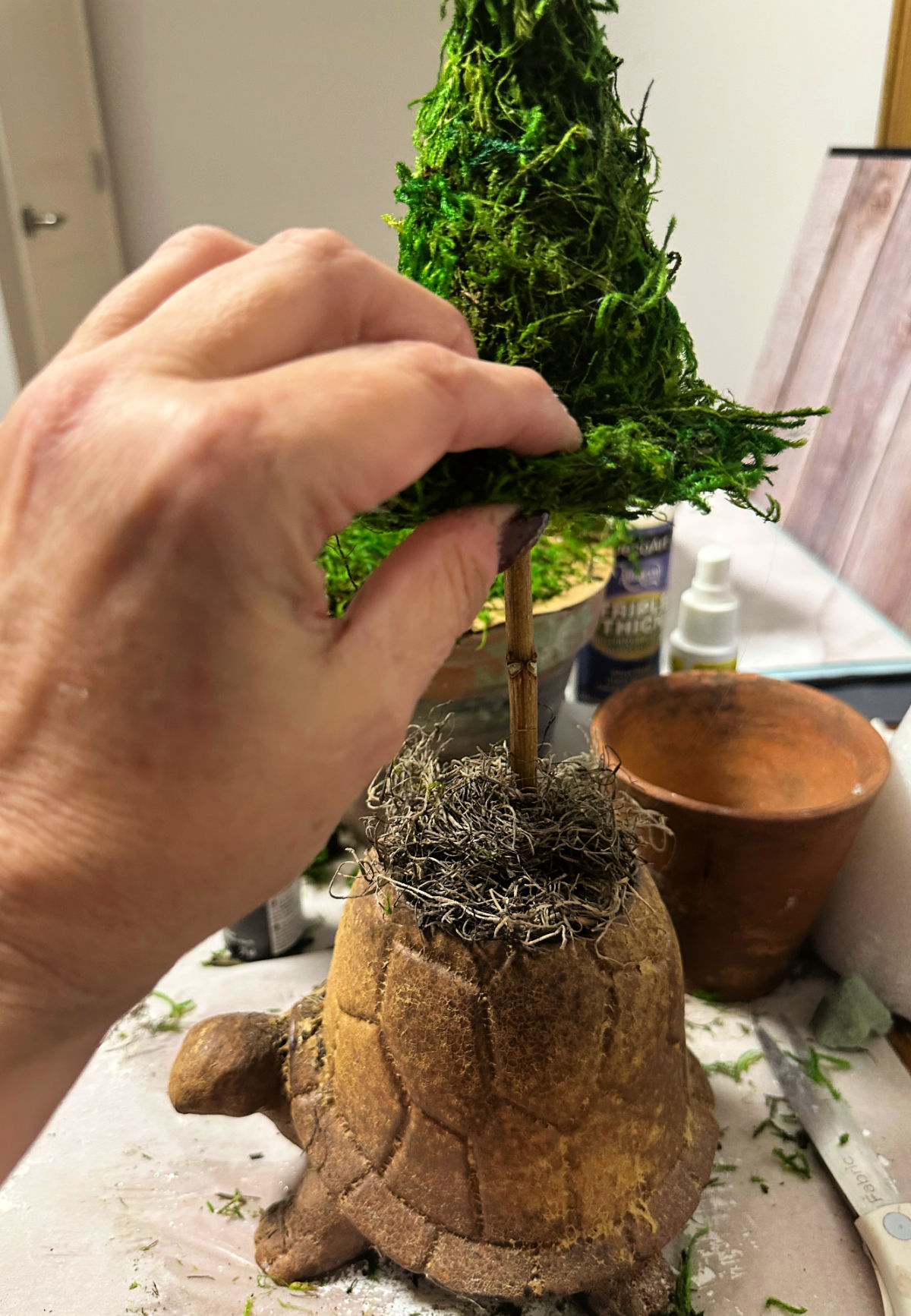 placing moss hat on topiary stick