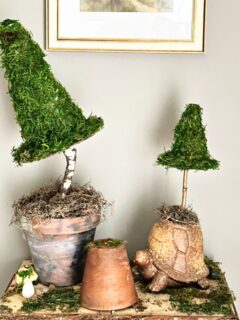terracotta pots witch hat topiary