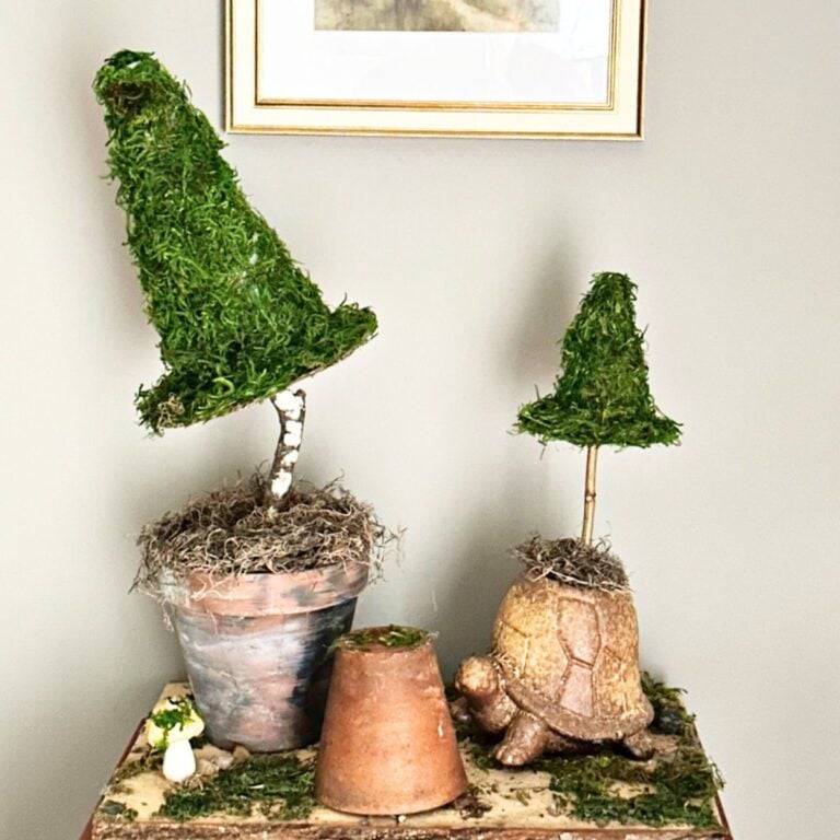 terracotta pots witch hat topiary