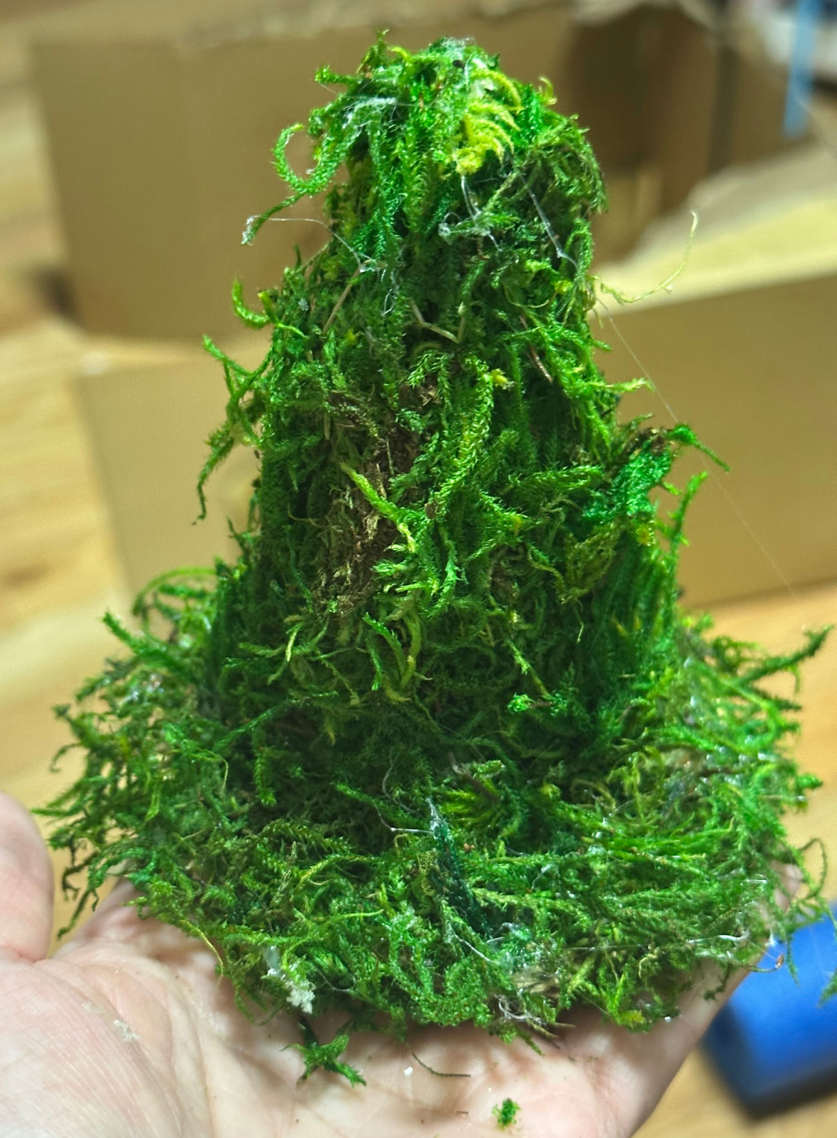small diy moss witch hat
