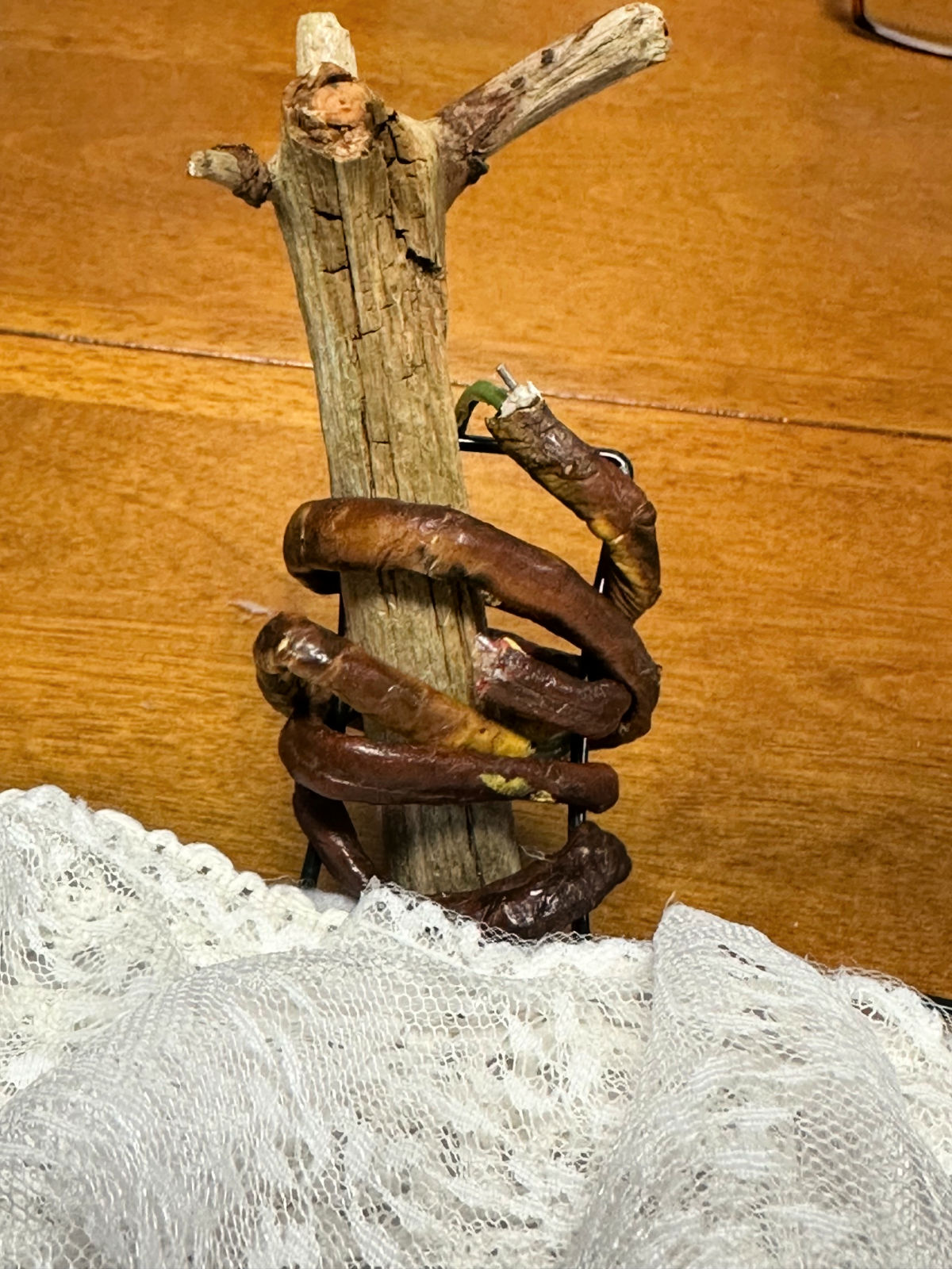 adding stick to top of pumpkin